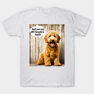 Funny Goldendoodle Insult T-Shirt